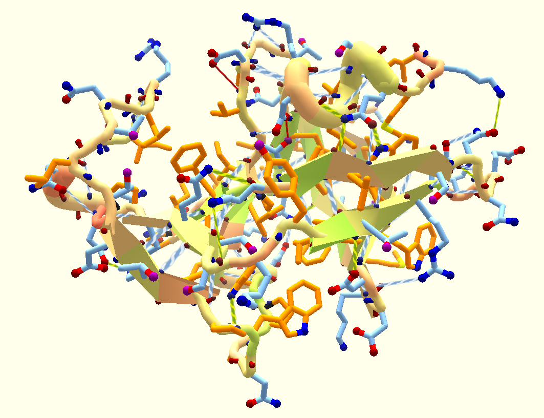 Proteine de M-MPV